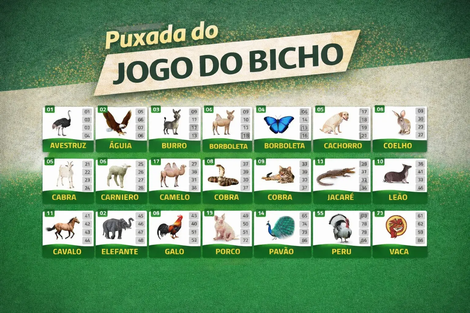 Puxadas Do Jogo Do Bicho: Entenda Como Funciona Os Padrões